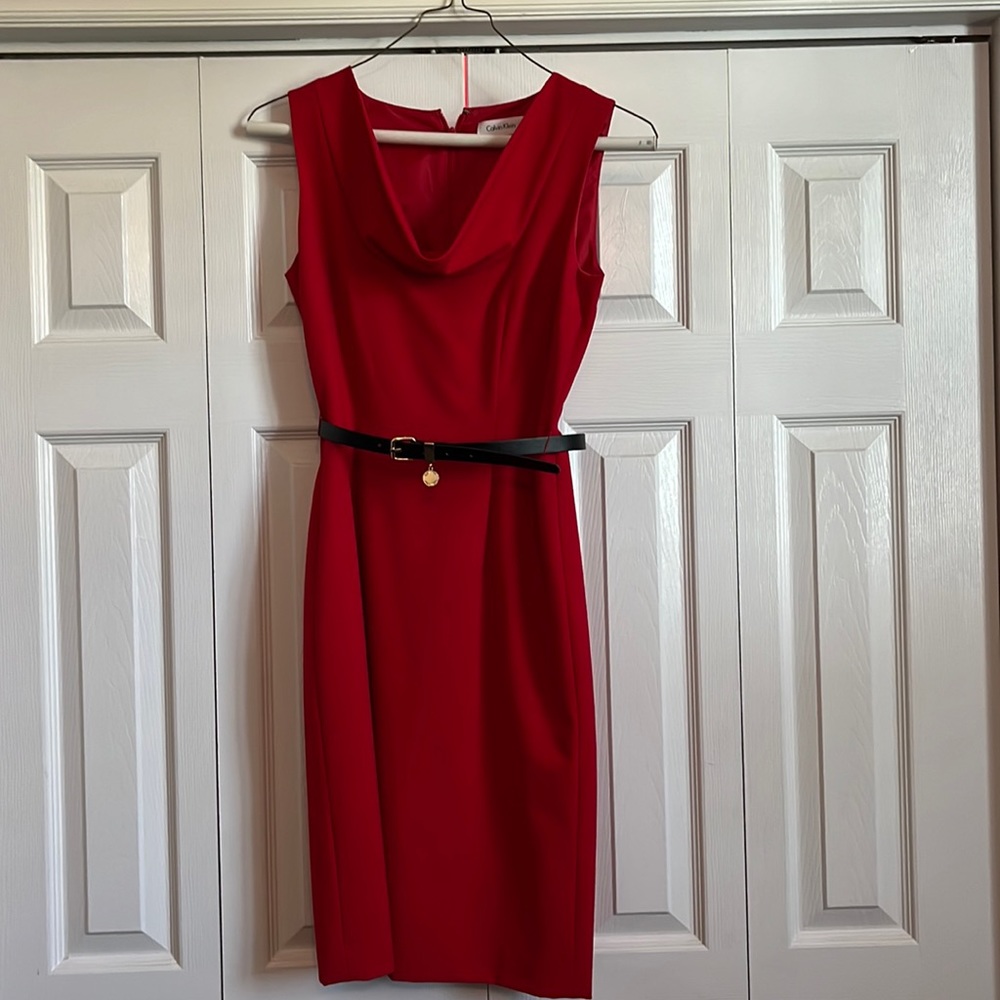 Calvin Klein Ted Size 2 Dress